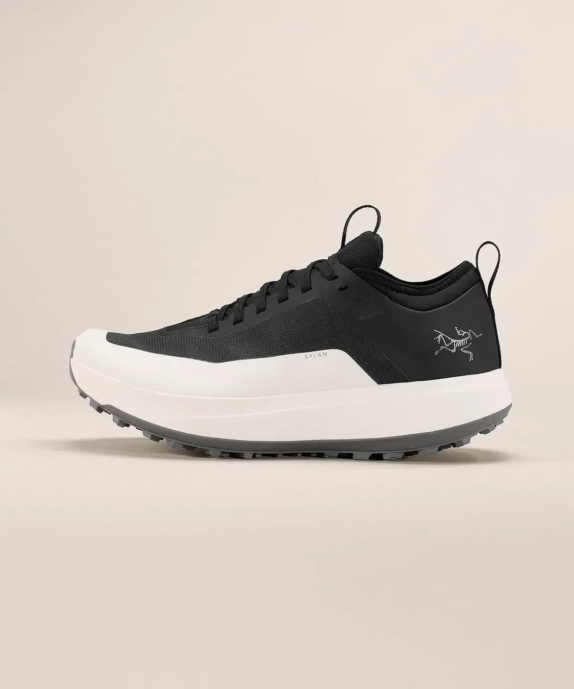 아크테릭스 사일렌 GTX 블랙/아크틱실크 270사이즈 상품이미지1