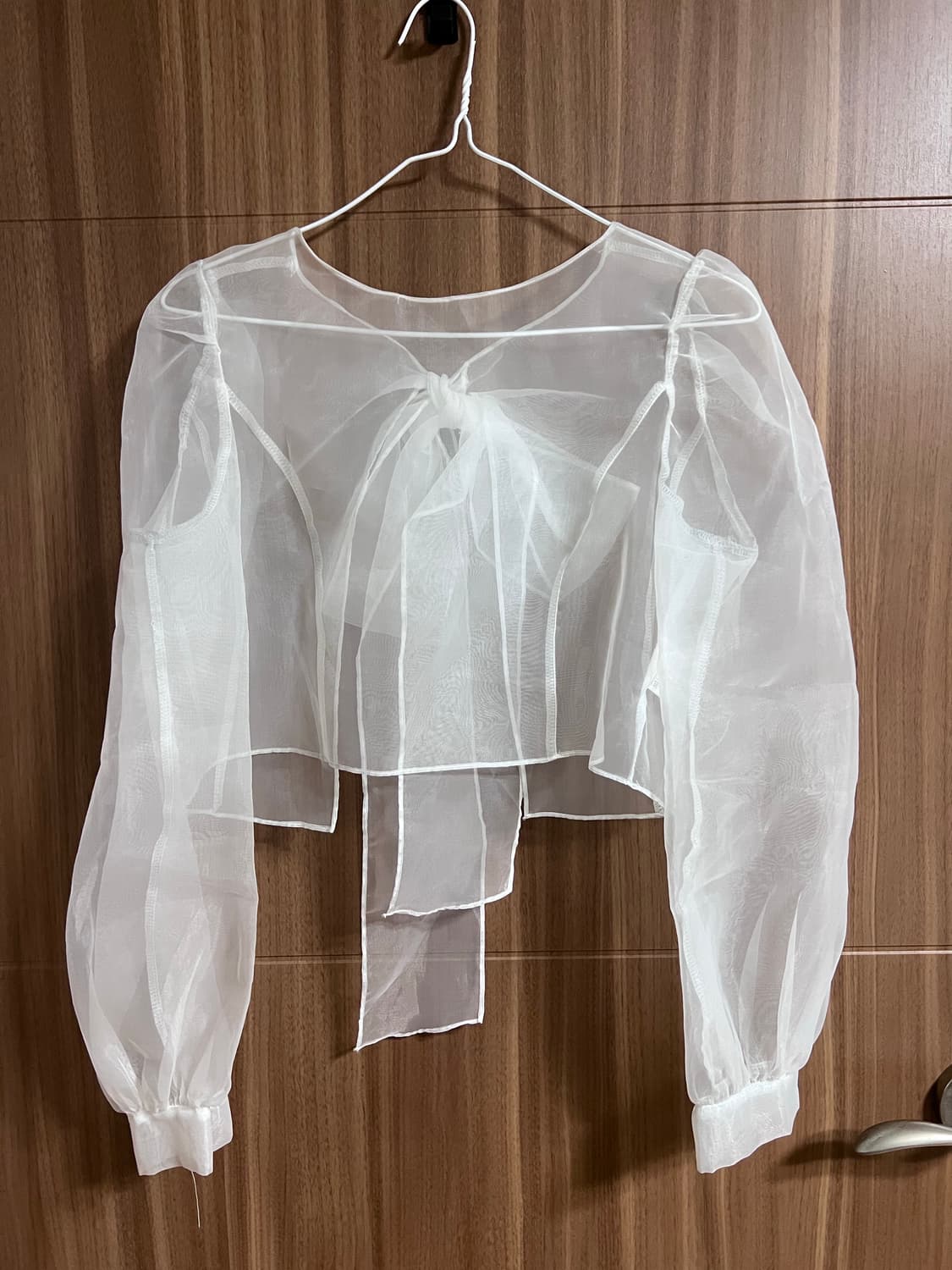 시스루 레이어드 블라우스 상품이미지1