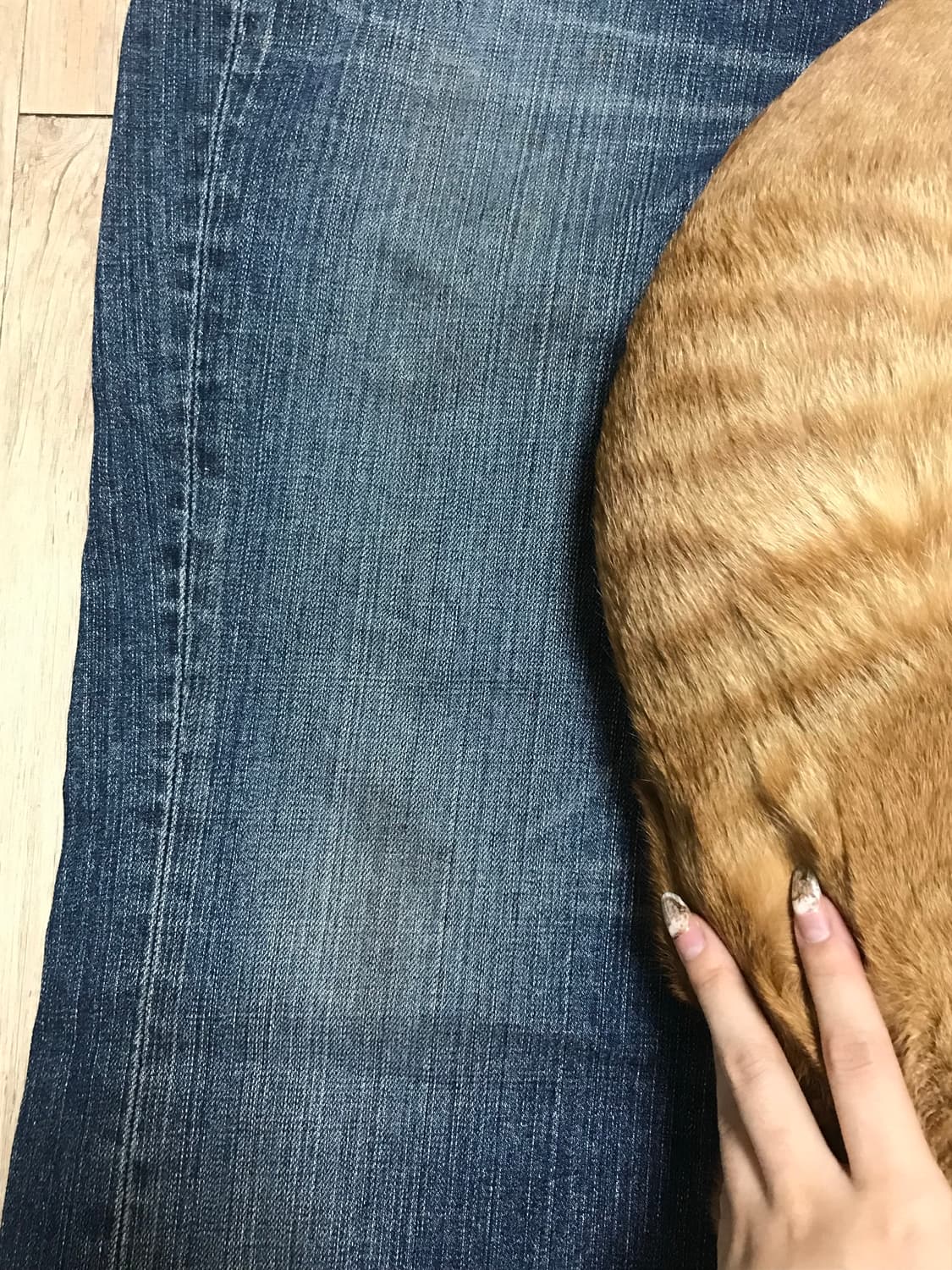 리바이스 청바지 상품이미지4