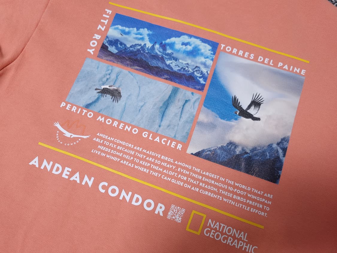 [무료배송][160]내셔널지오그래픽 키즈 맨투맨 긴팔티 상품이미지8