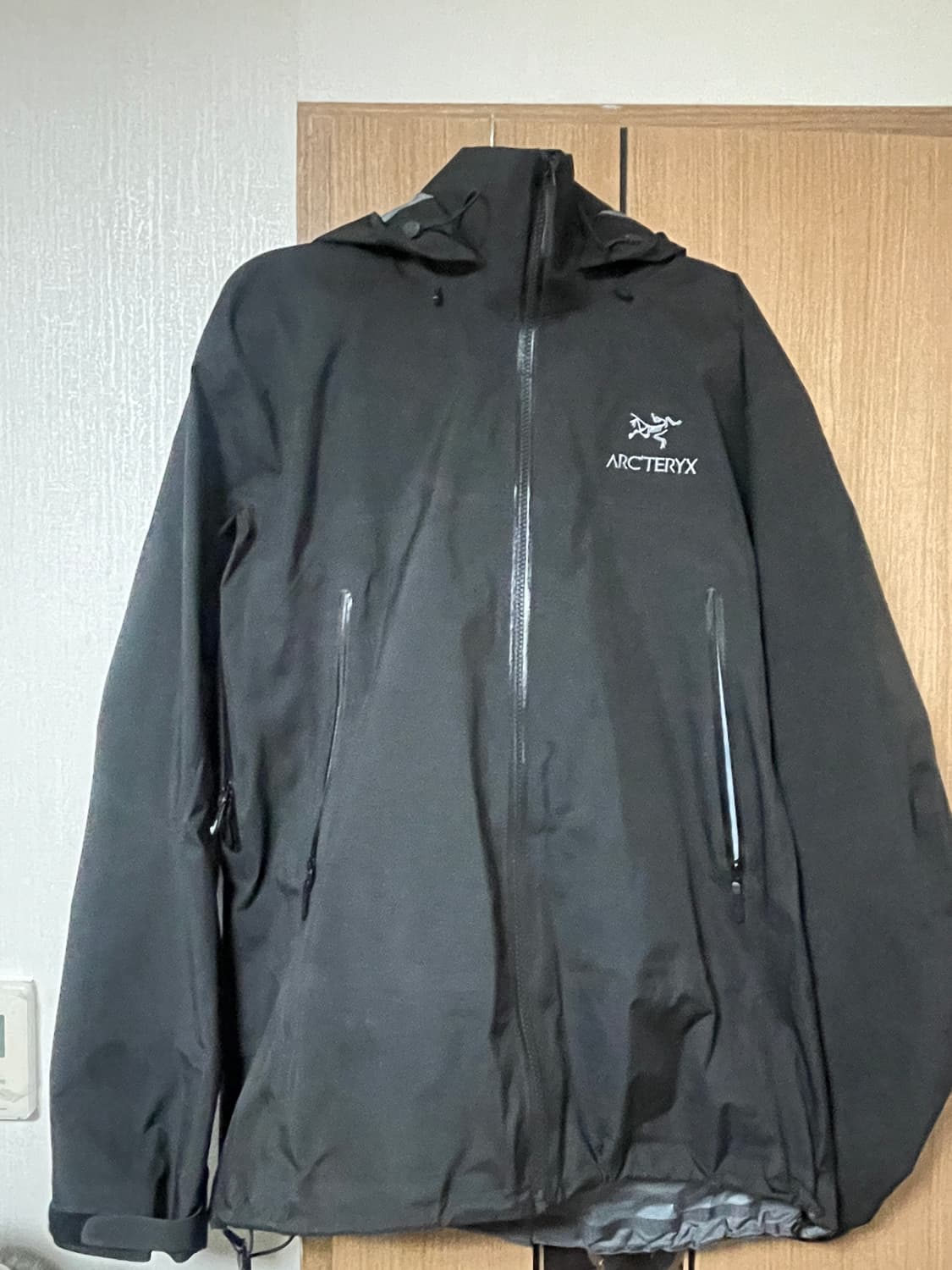 아크테릭스 베타 AR L 상품이미지1