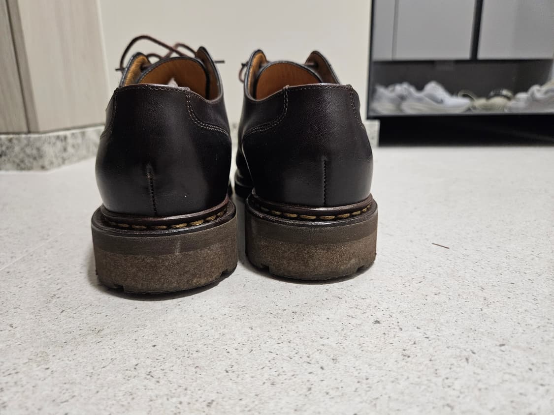 파라부트 샴보드 판매합니다 상품이미지3