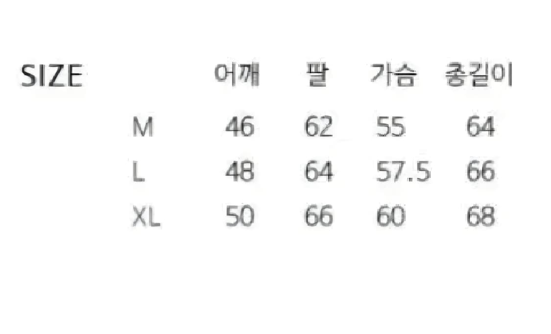 장미셸바스키아 소가죽 라이더자켓 상품이미지5