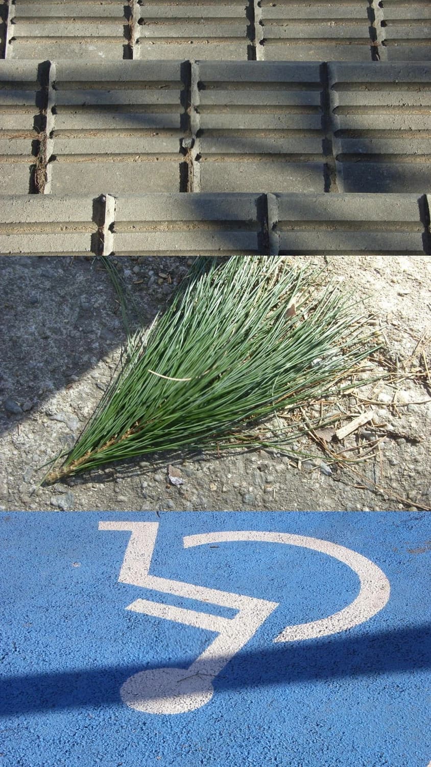 Ricoh Caplio R4 블루(작례O) 상품이미지9