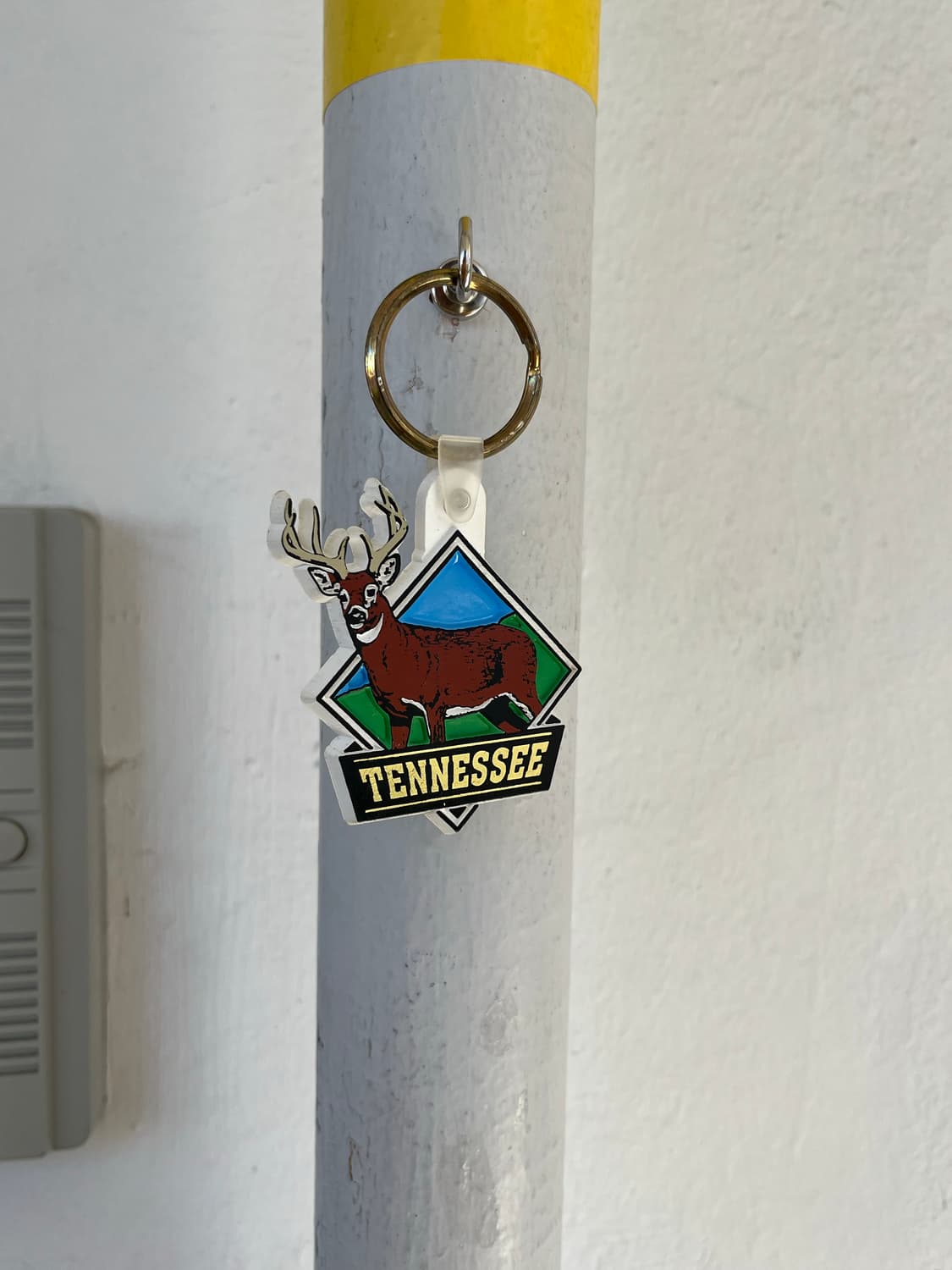 Tennessee Keyring 상품이미지1