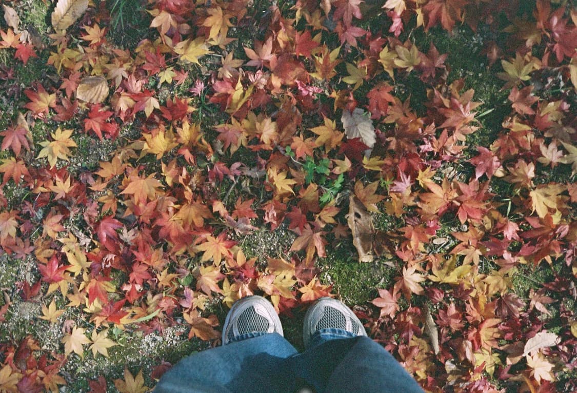 라이카 미니2 상품이미지7