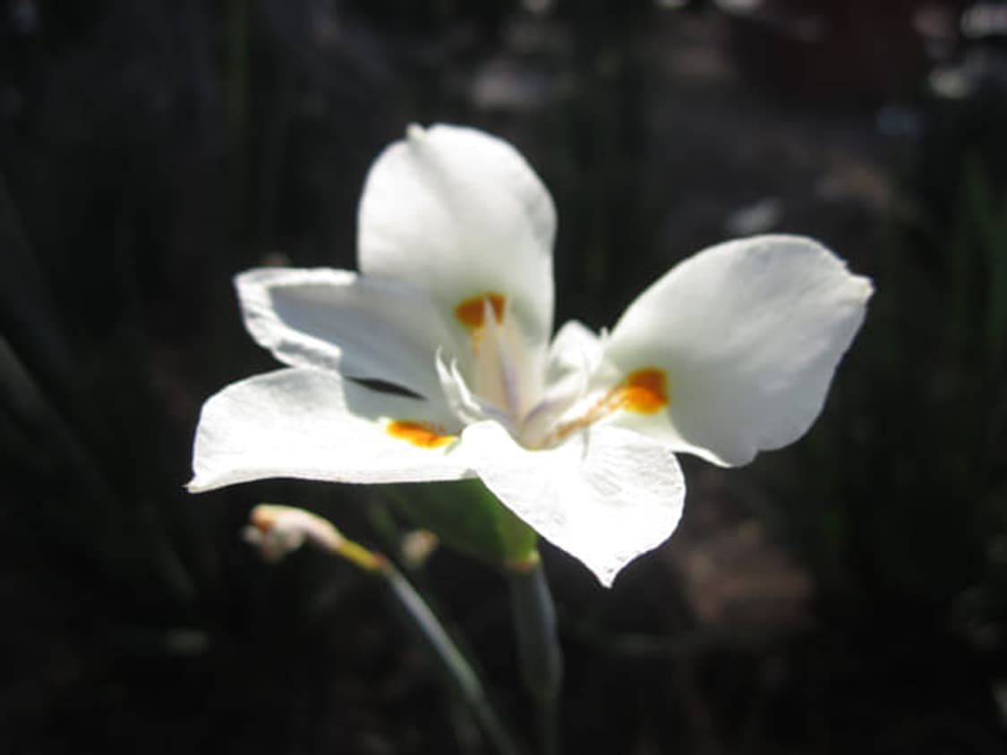 ​📸  풀박스 ✨ 캐논 PowerShot A2200 실버 [영어지원]  상품이미지6