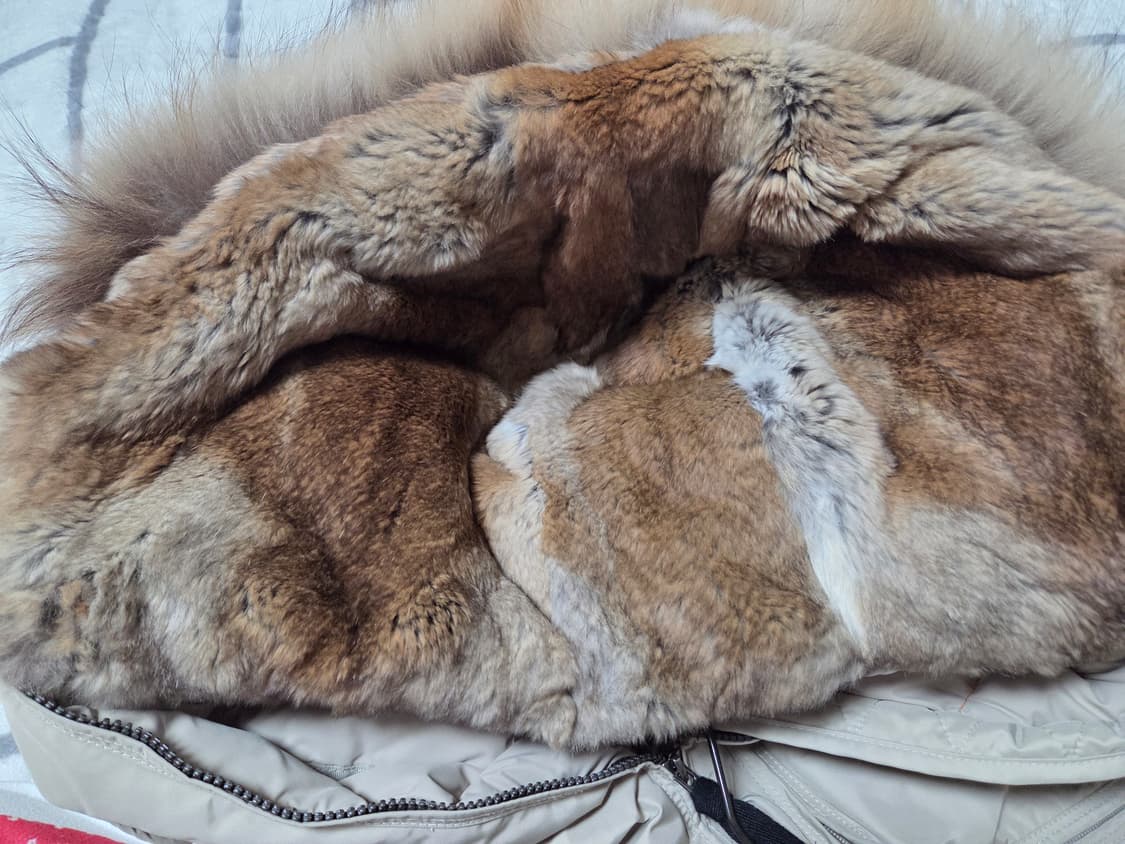 파라점퍼스 마스터피스 고비 패딩 S 상품이미지6