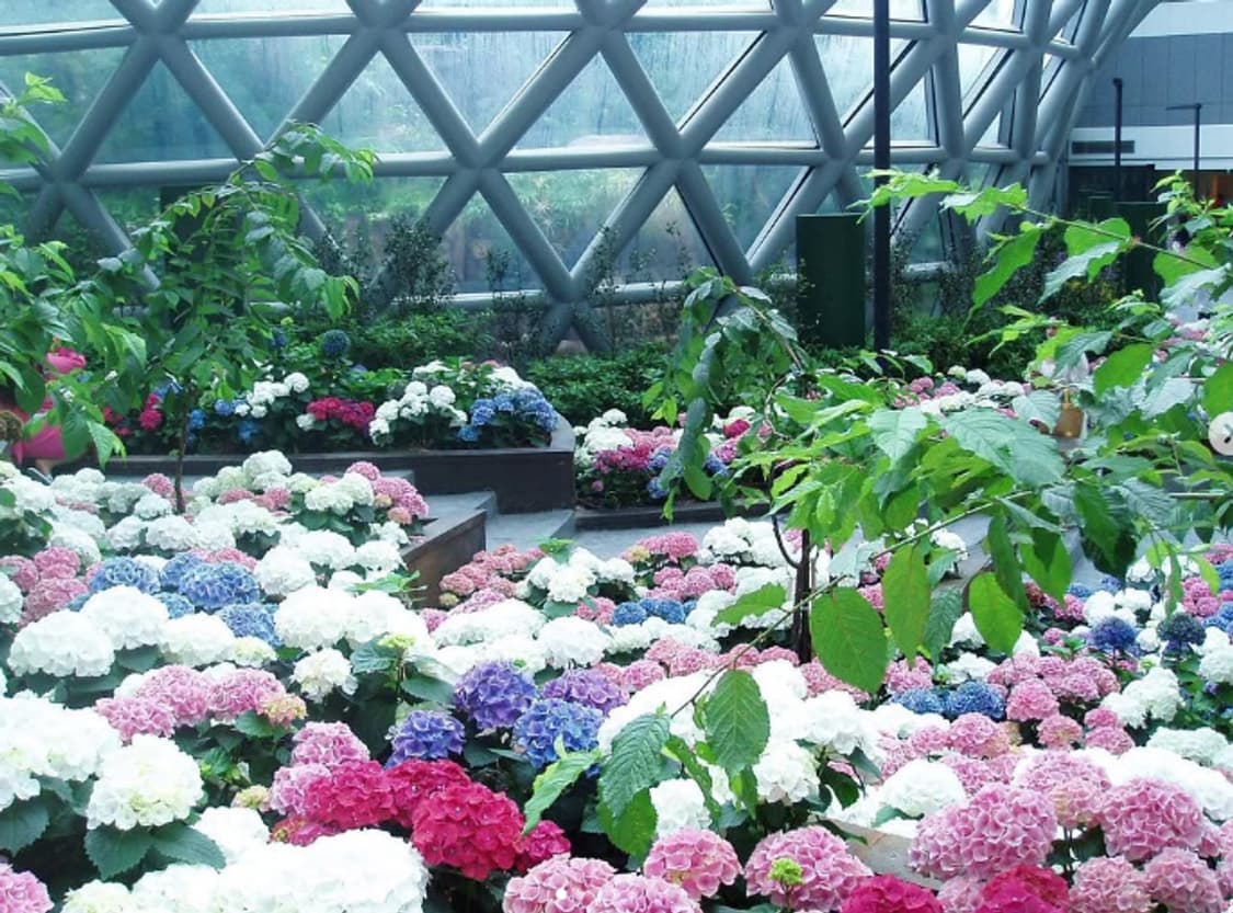 올림푸스 뮤 미니(mini) 디카 (빈티지 카메라) 상품이미지8