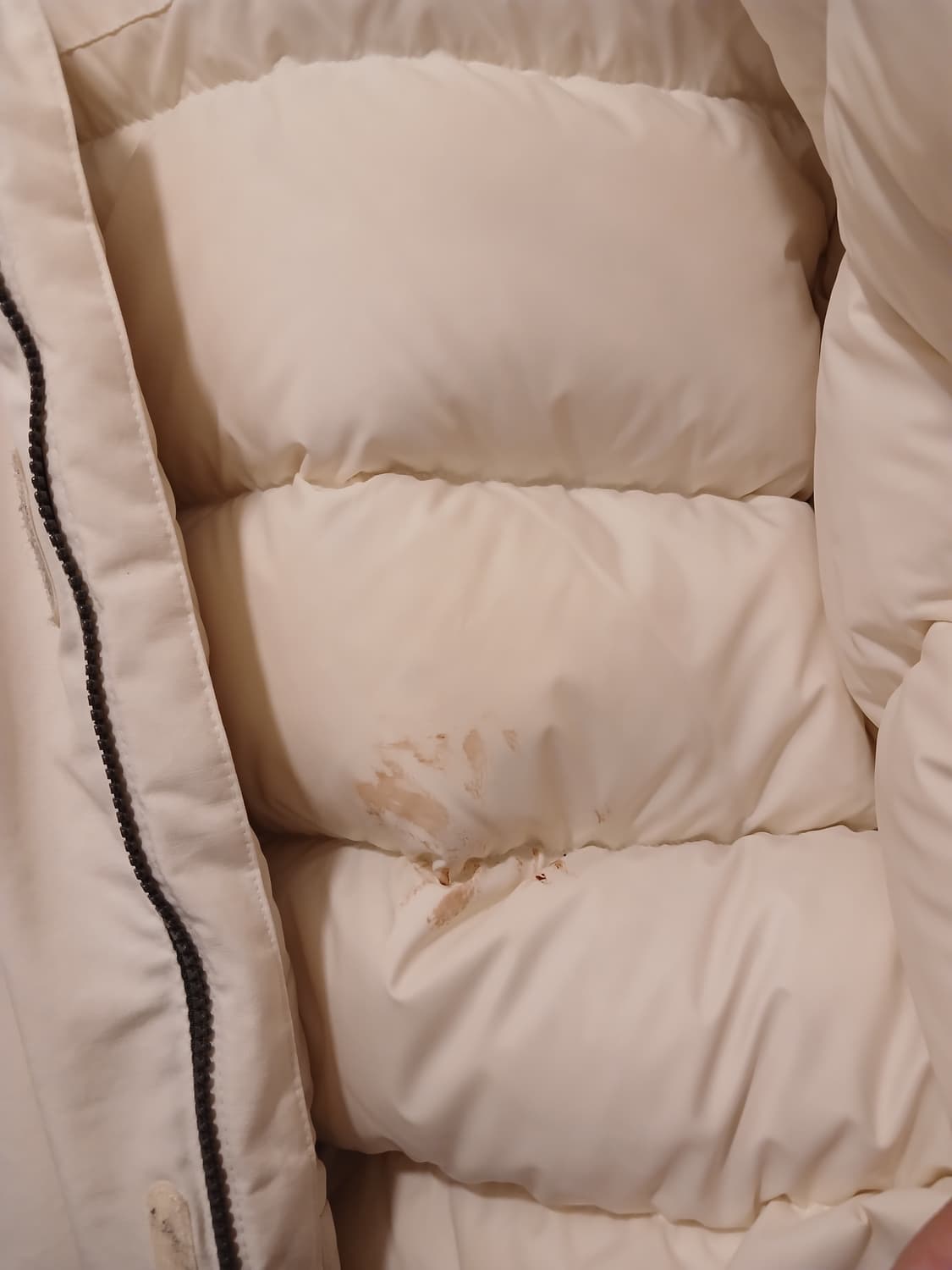 디스커버리 정품 여성 숏패딩 95 사이즈 상품이미지3