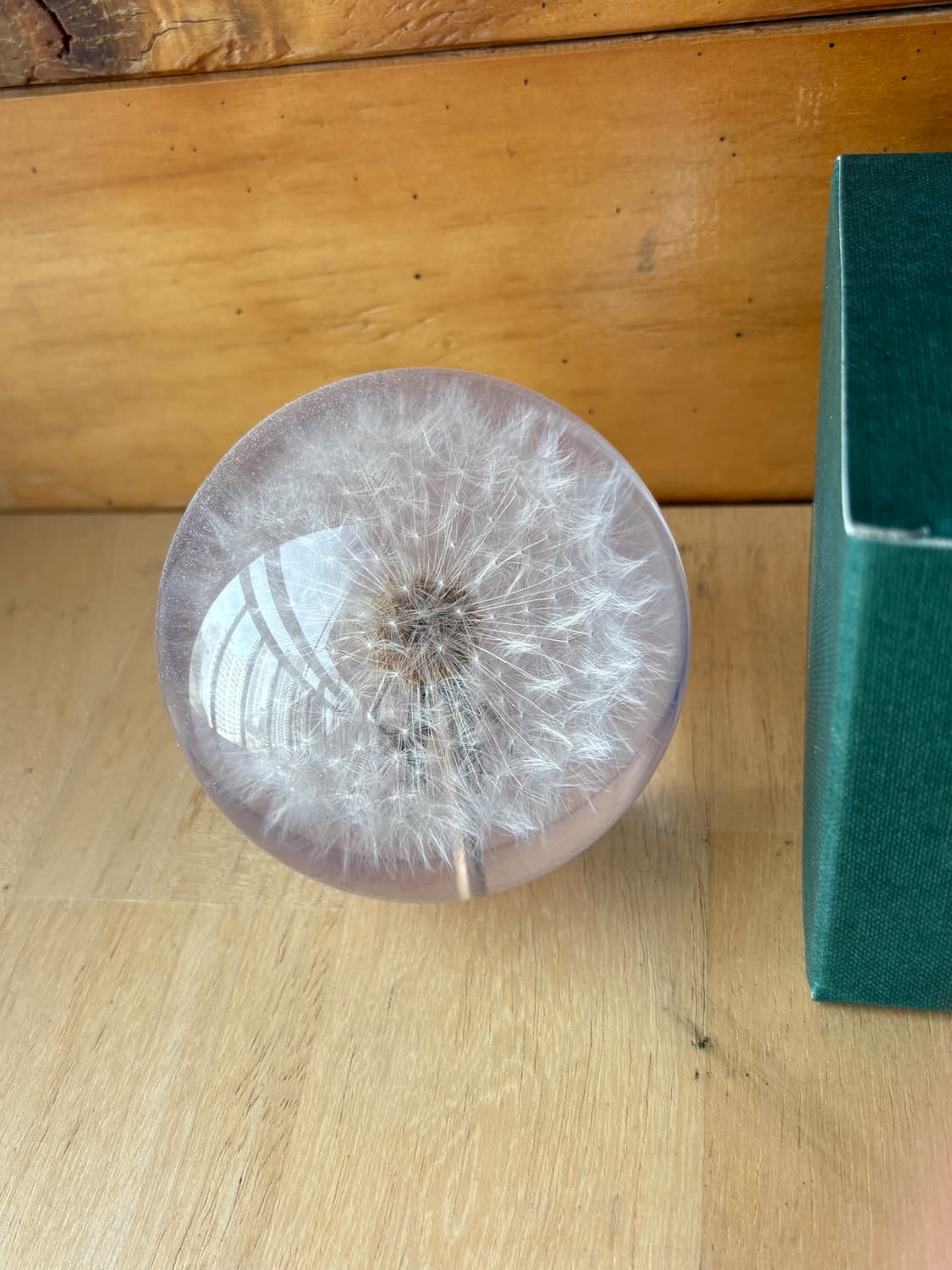 HAFOD GRANGE 민들레 문진 페이퍼웨이트  상품이미지2