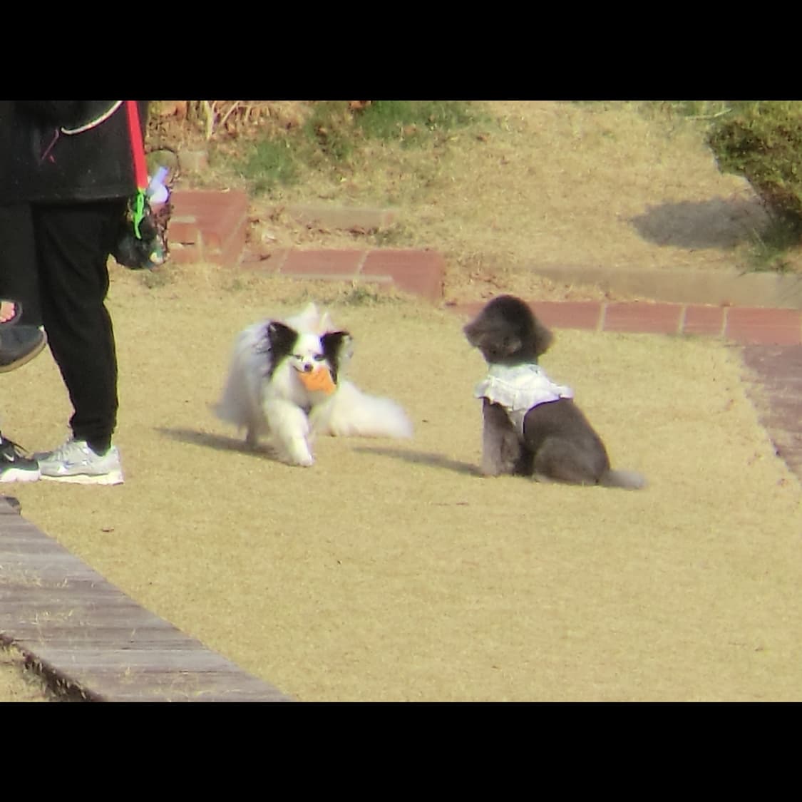 작례⭕️ 카시오 엑슬림 EX-H20G 메이크업모드 ❤️ 상품이미지7