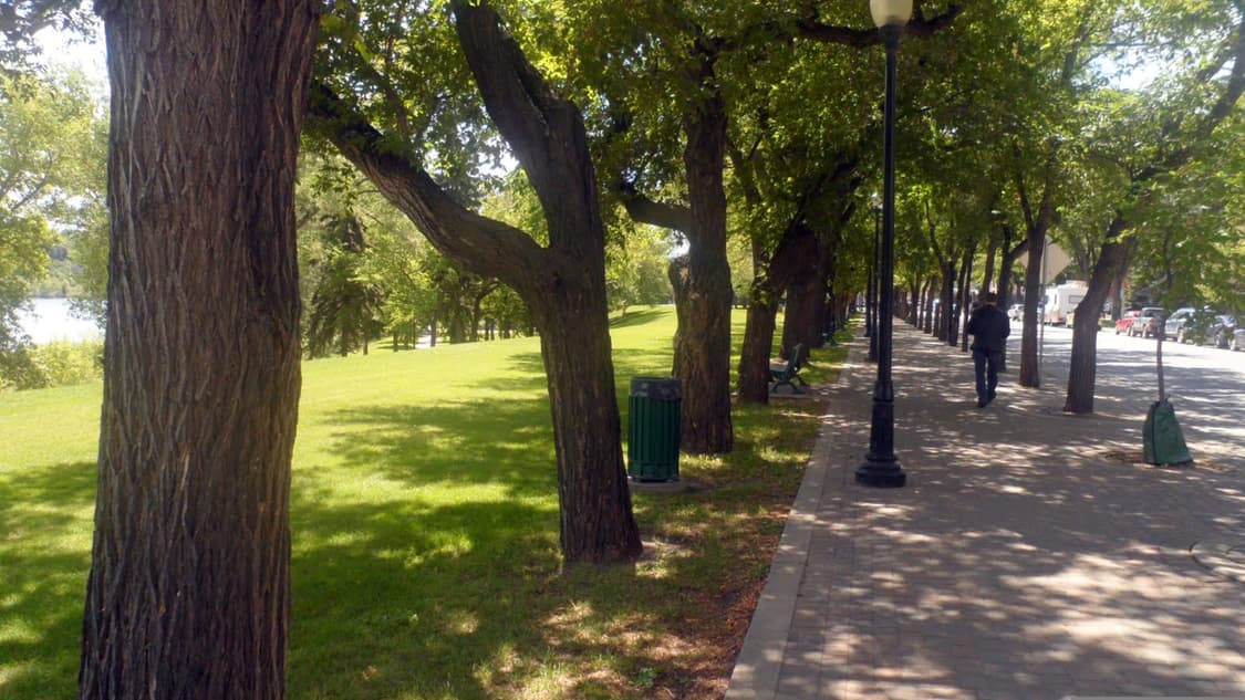 삼성 vluu ST95 빈티지 디카 판매합니다 상품이미지8