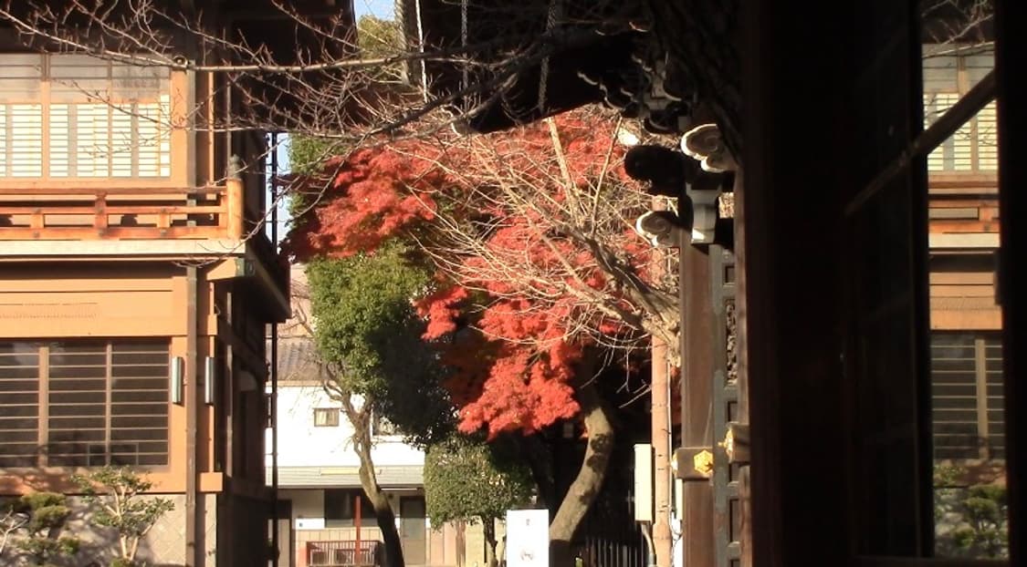 canon ivis HF-R42 (작례o) 상품이미지8