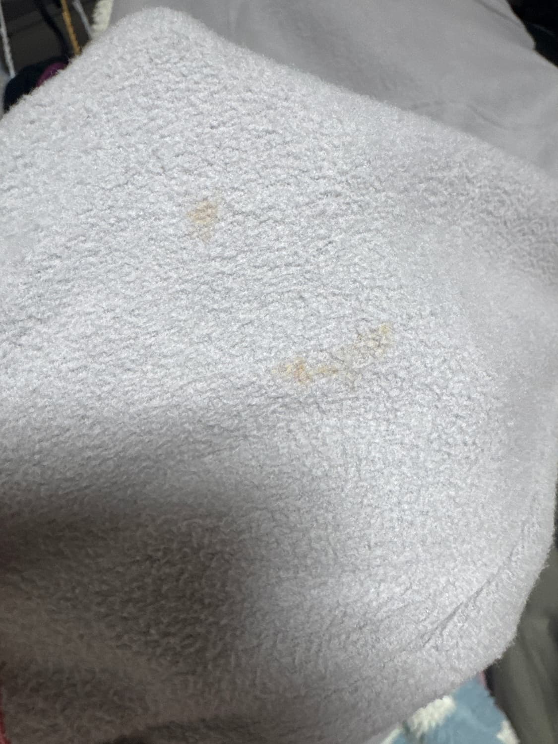 파타고니아 신칠라 우먼 L 상품이미지4