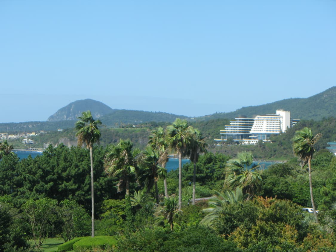 캐논 파워샷 G9 디지털 카메라 풀박스 상품이미지8