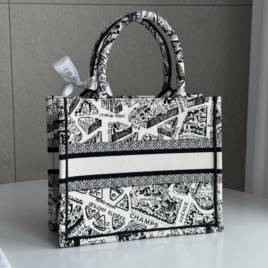[새상품급] 디올 플랜드 파리 북토트 백 스몰 상품이미지4