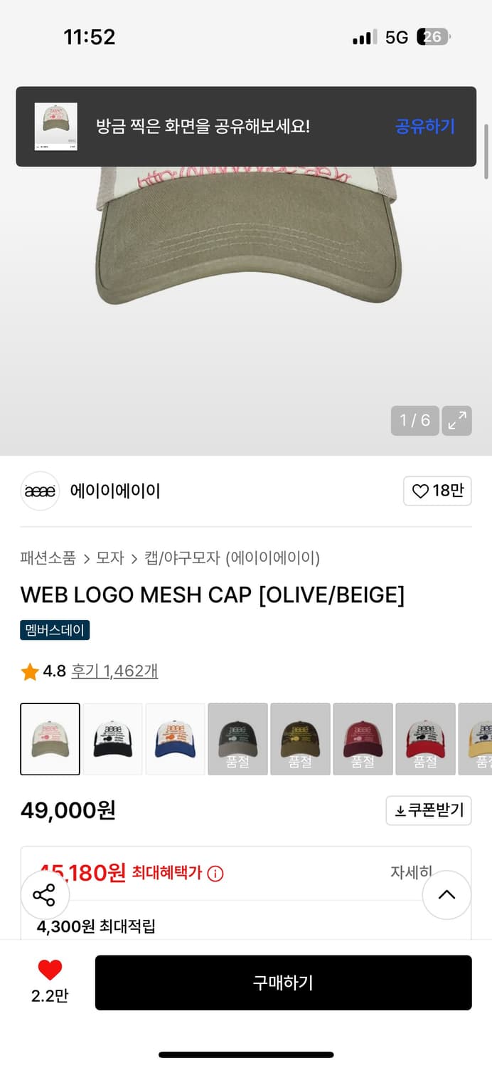 에이이에이이 WEB LOGO MESH CAP [OLIVE/BEIGE] 상품이미지2