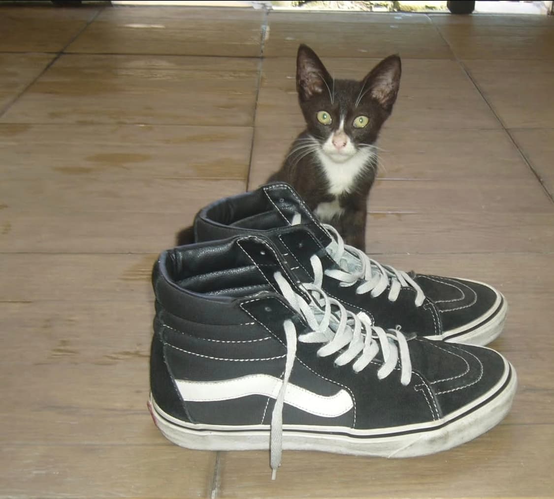 파나소닉 루믹스 LC70 핑크 💗 감성 똑딱이, 필름톤 상품이미지4