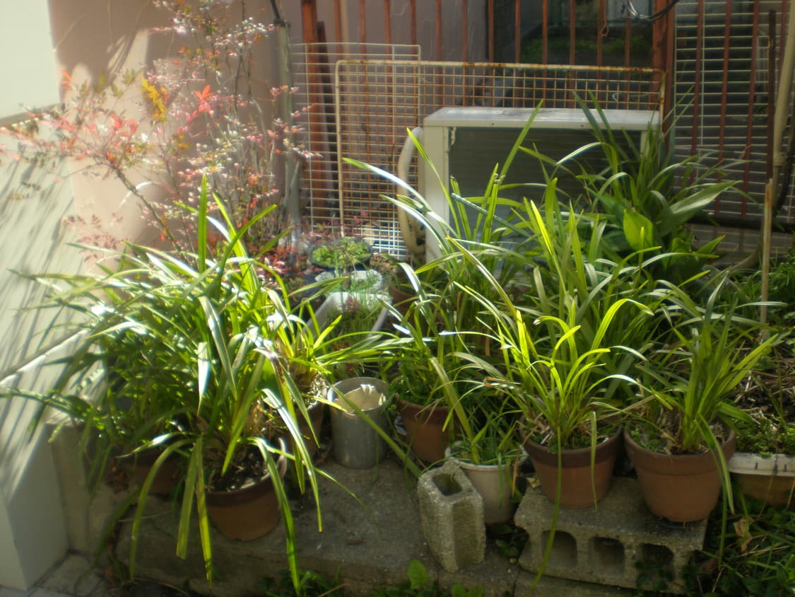 올림푸스x-790 디지털카메라 빈티지디카 상품이미지8