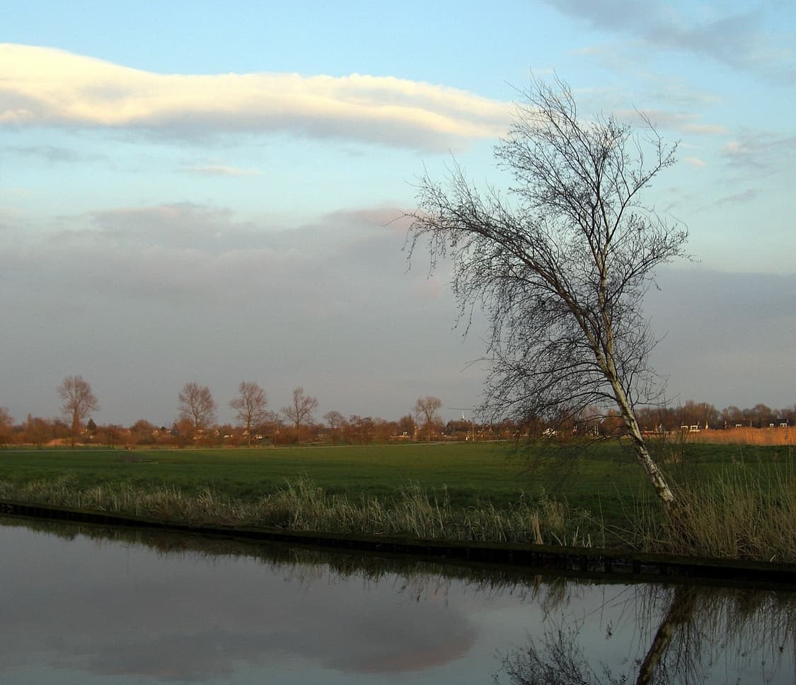 📸 카시오 EXILIM Z1200 빈티지 디지털카메라 판매 상품이미지5