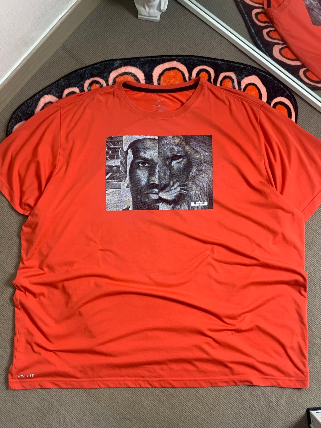 [4XL]Nike Dry-Fit Lebron James 상품이미지3