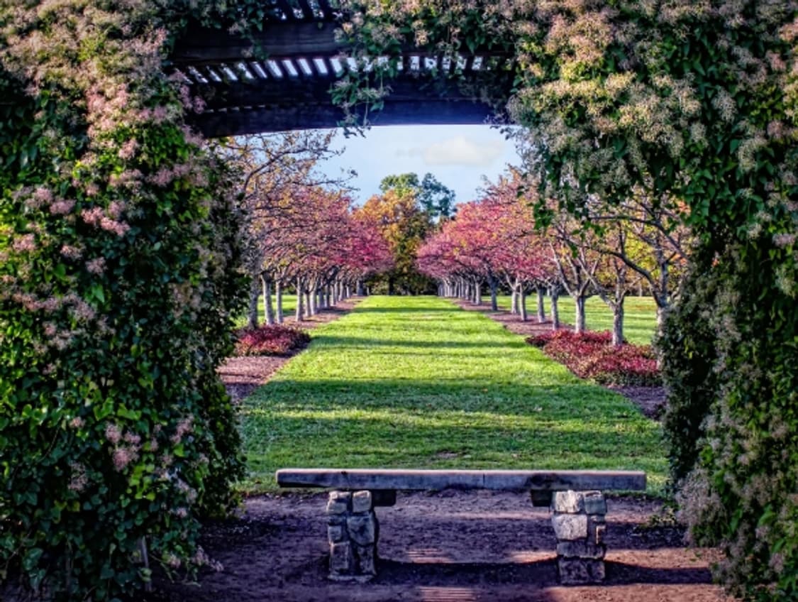 (박스셋) 니콘 쿨픽스 S550 카메라 상품이미지9