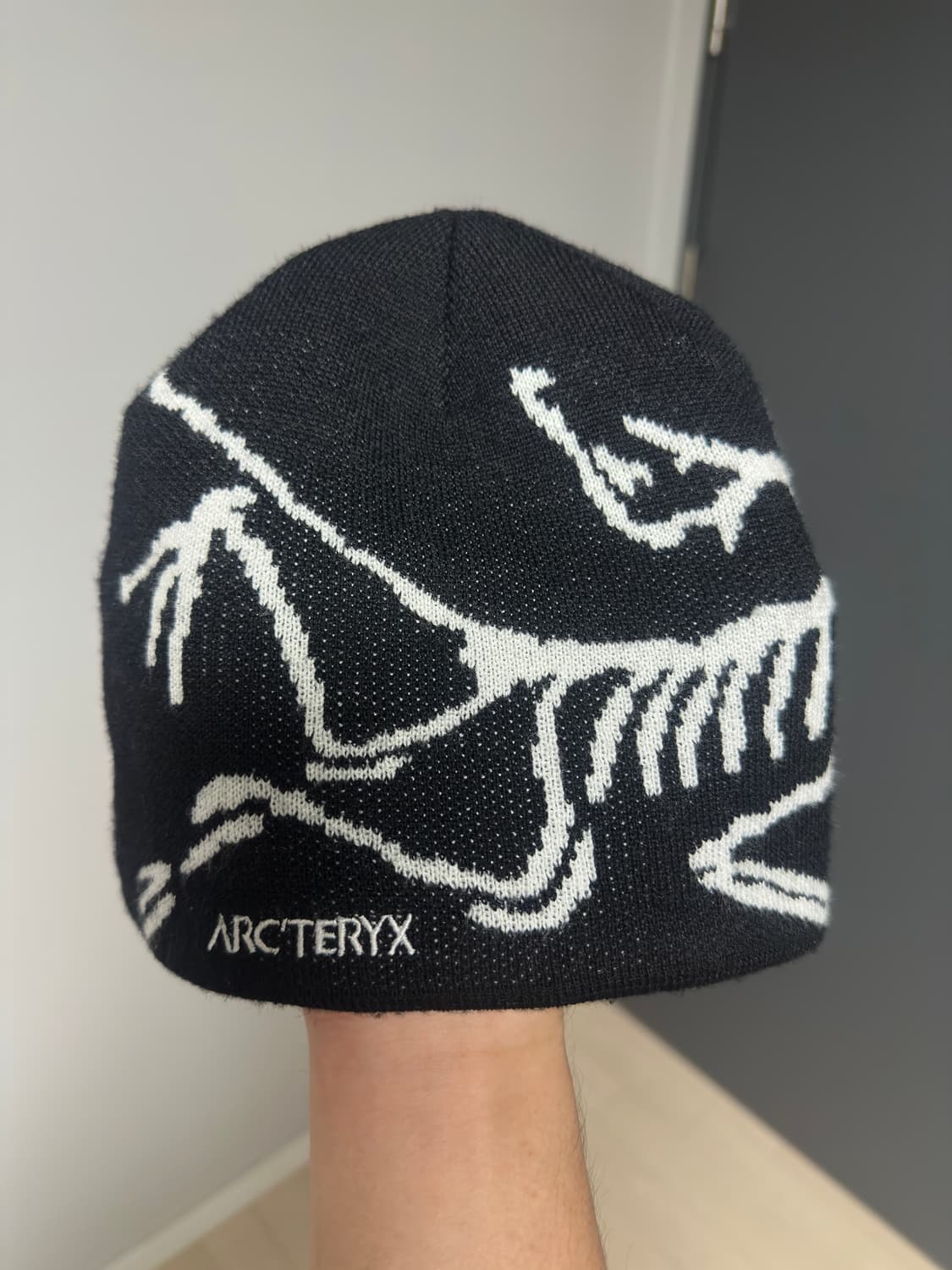 아크테릭스 비니 상품이미지1