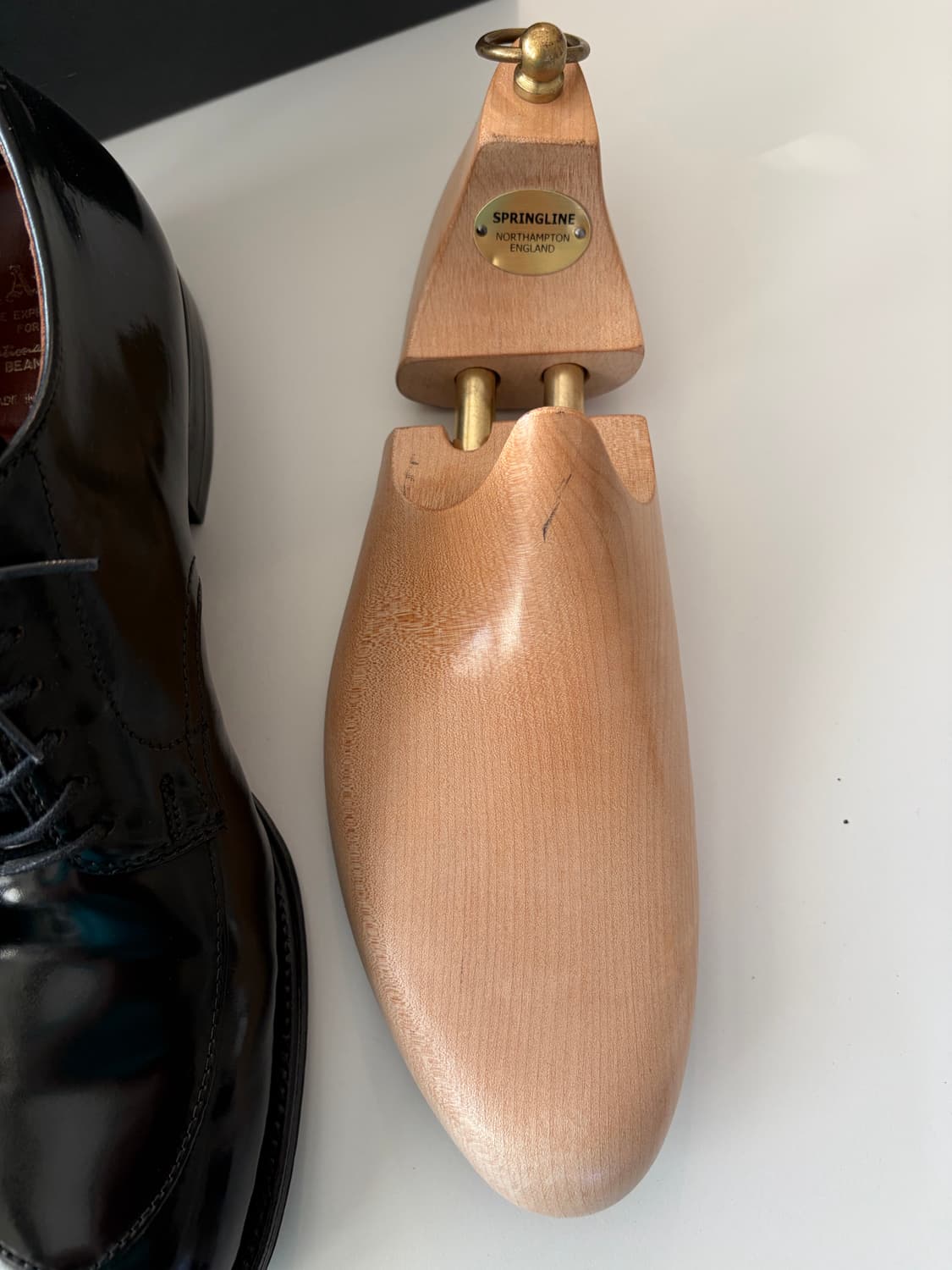 알든 모디파이드 v팁 9.5D 코도반 상품이미지7