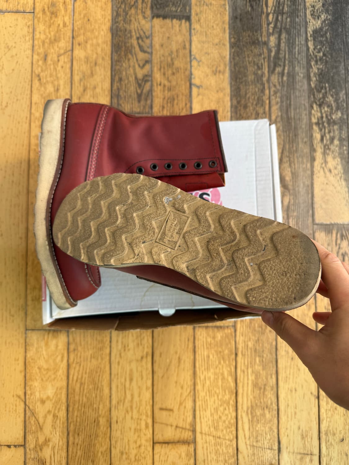 레드윙 아이리쉬세터 상품이미지3