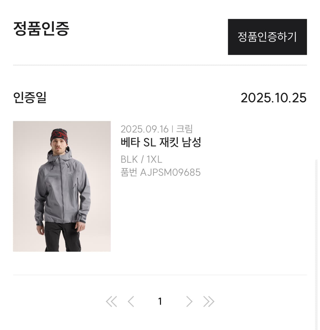 아크테릭스 베타 SL 블랙 XL 상품이미지3