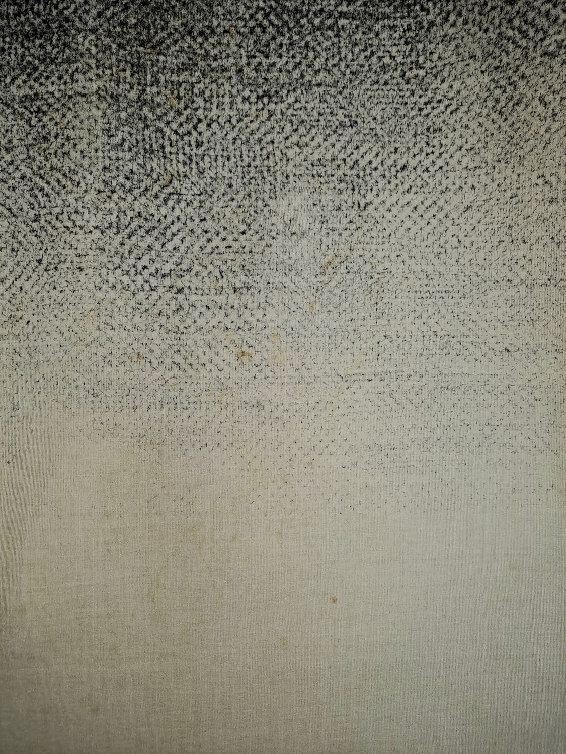 프로엔자 슐러 니오프렌 니트 M 상품이미지6