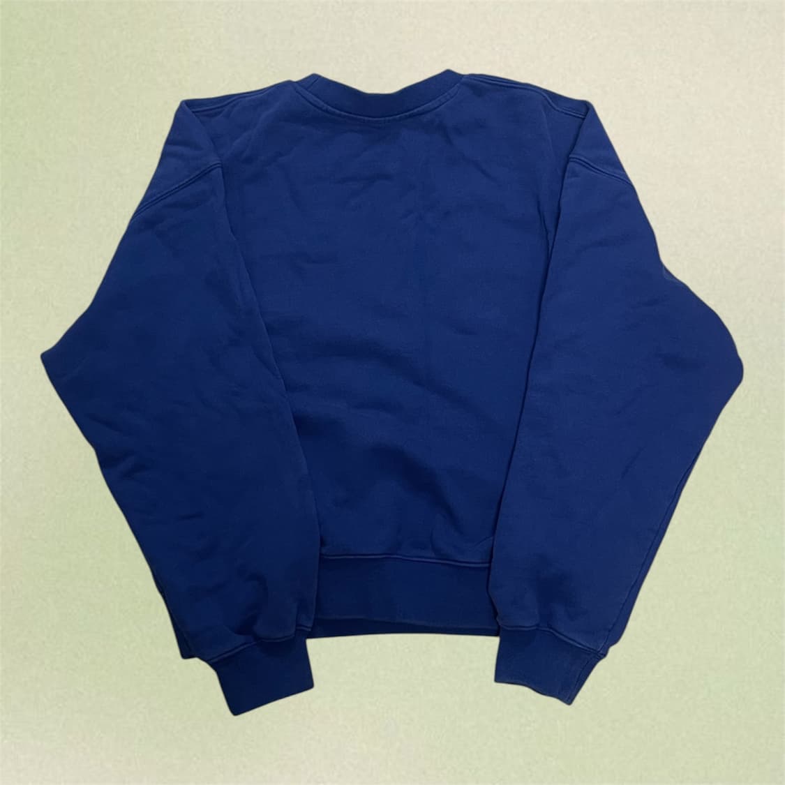 헤이그 어 벌스데이 스웨트셔츠 맨투맨 블루 상품이미지3