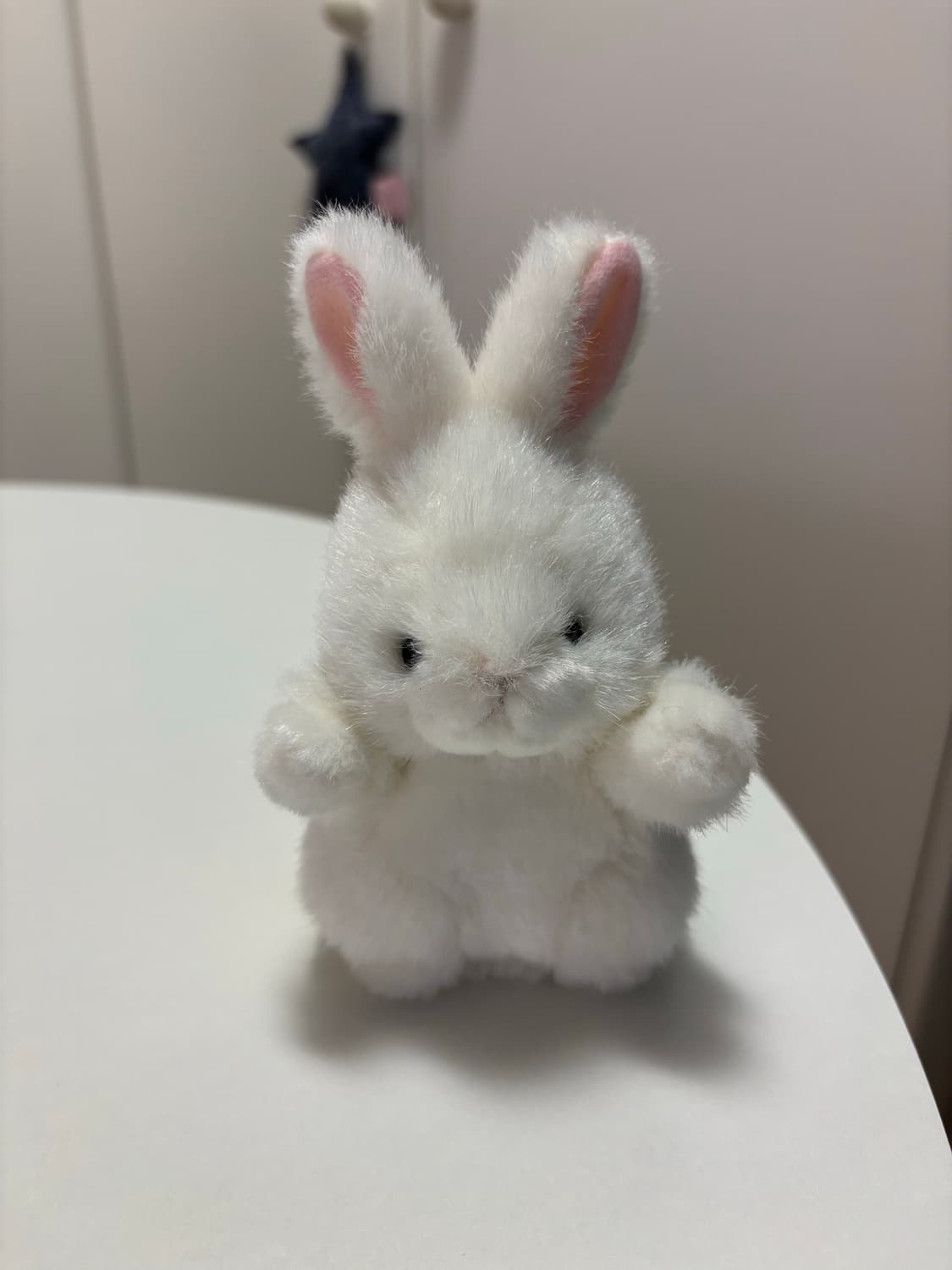 TAKENOKO JOYFUL MATES 조이풀메이트 토끼 인형 상품이미지2