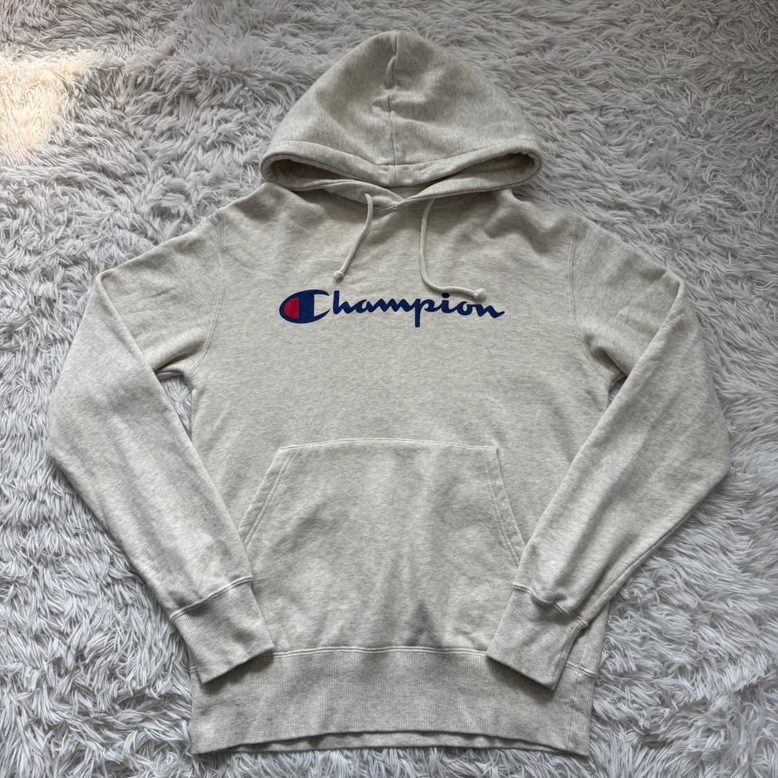 CHAMPION 일본빈티지 후드티 챔피온 빈티지후드티 챔피온후드티 상품이미지2
