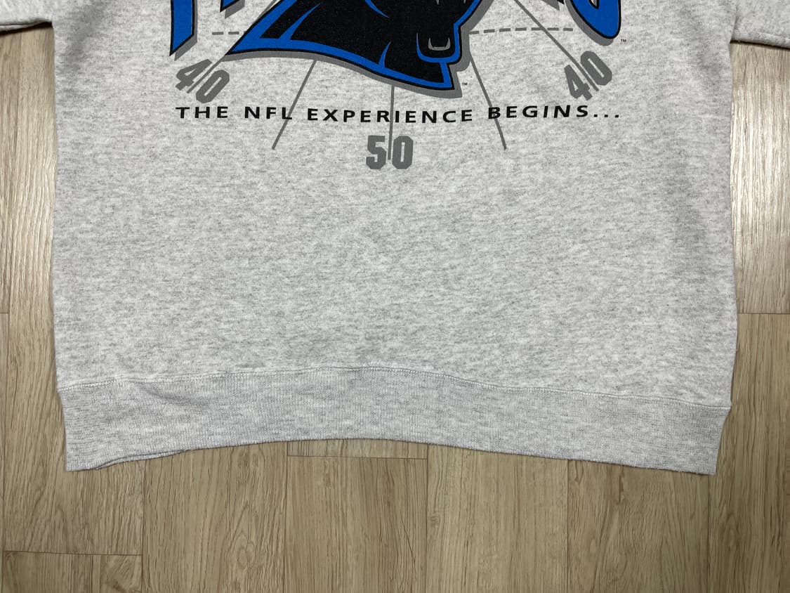 100~105) 90's 헤인즈 캐롤라이나 팬서스 맨투맨 상품이미지5