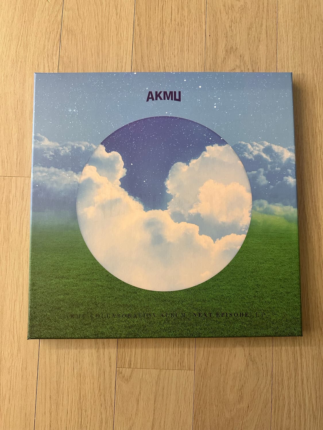 AKMU 악뮤 LP 상품이미지1