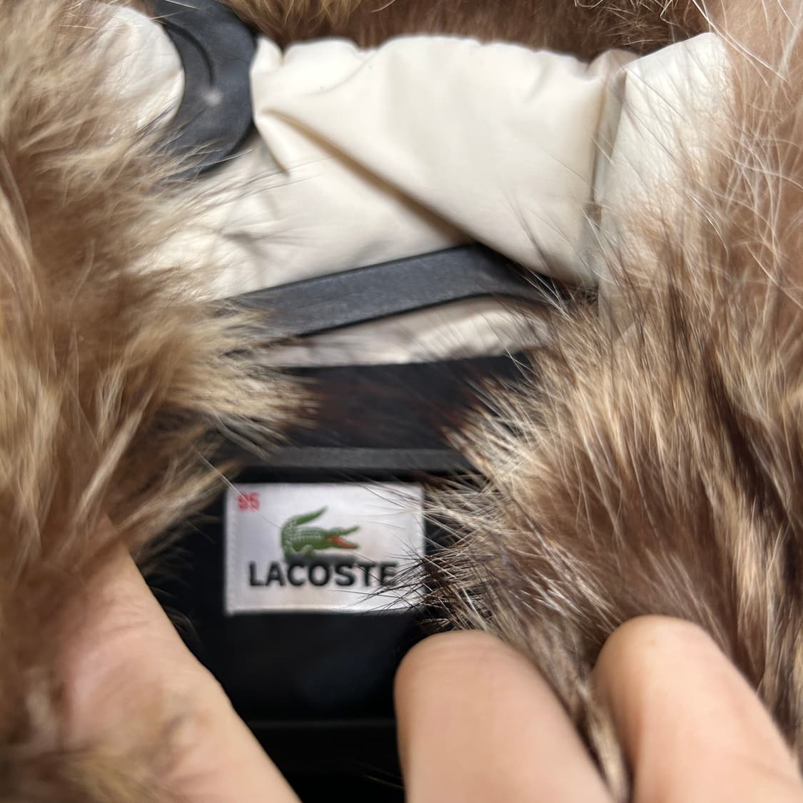 라코스테 여성 오리털 패딩 95 상품이미지2