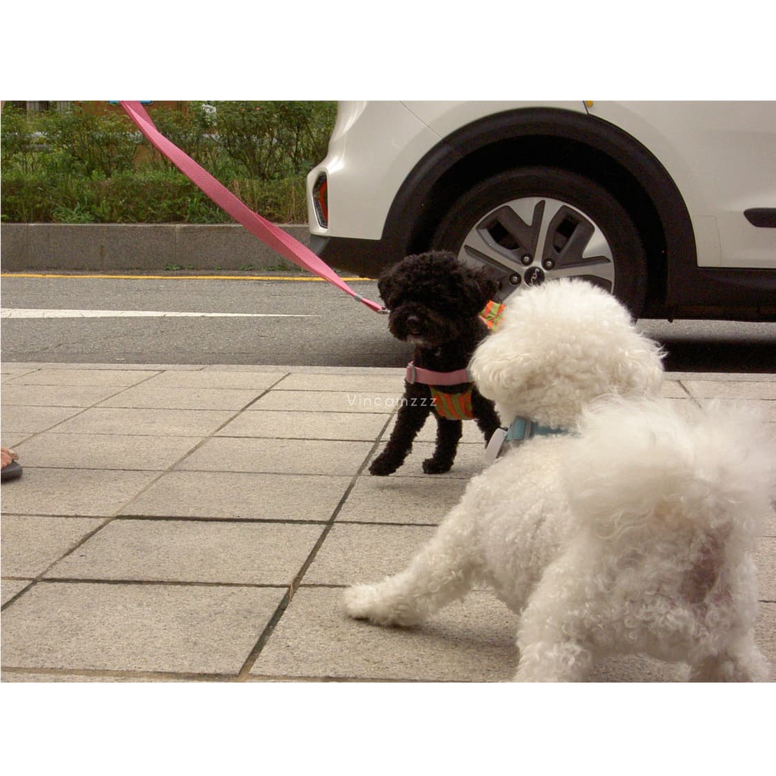 [필름색감강추] Minolta 미놀타 디마지 DiMAGE G400 상품이미지7