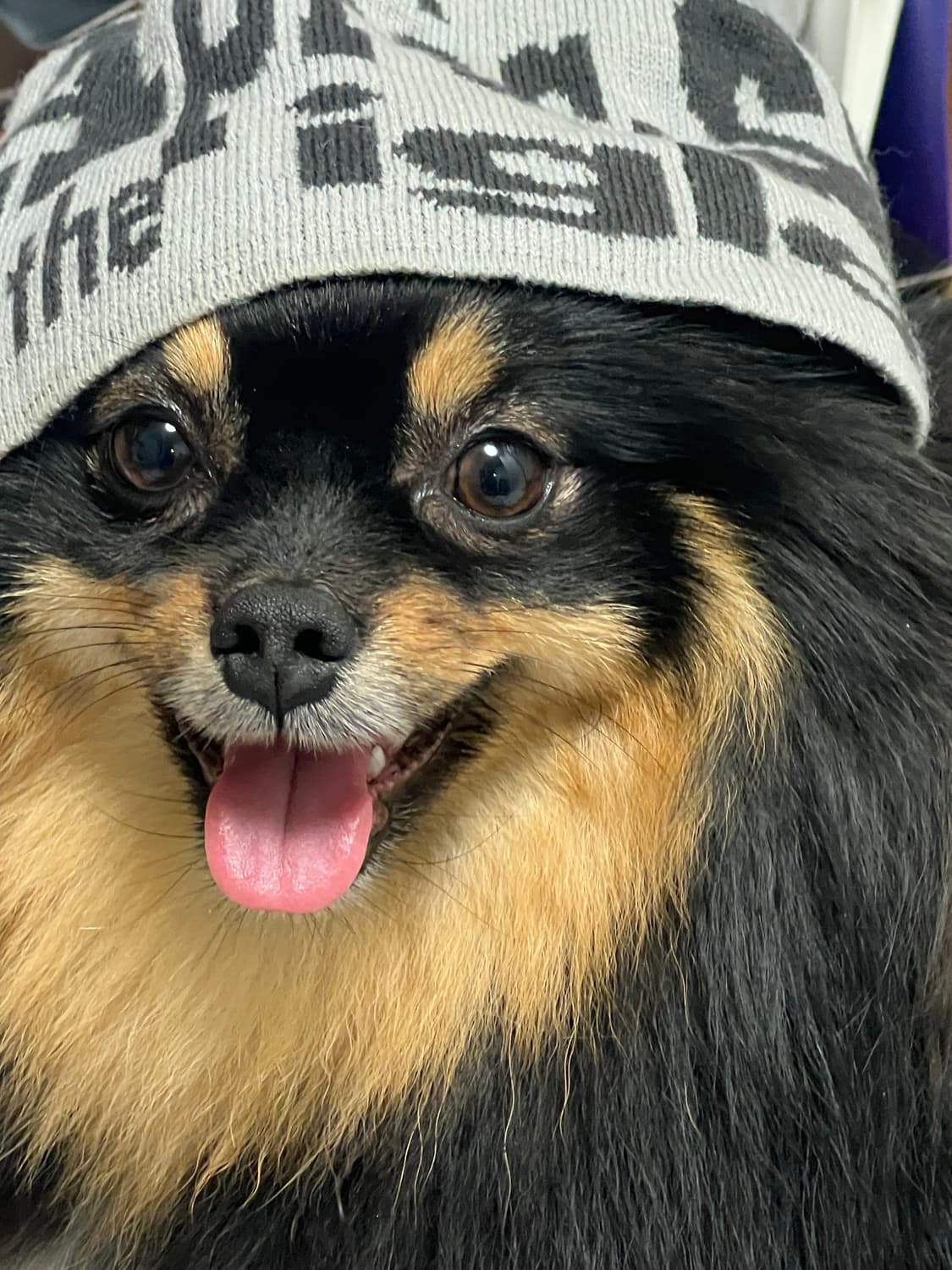 teket beanie 상품이미지5