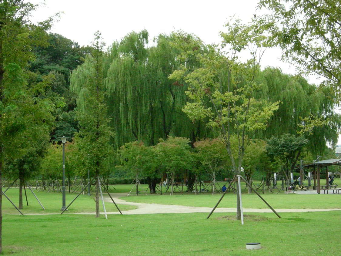 니콘 쿨픽스 P1 빈티지 디카 디지털카메라 상품이미지8