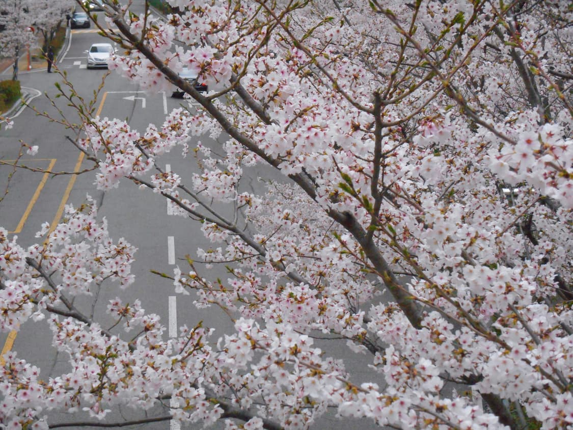 니콘 쿨픽스 S3500 판매합니다 상품이미지10