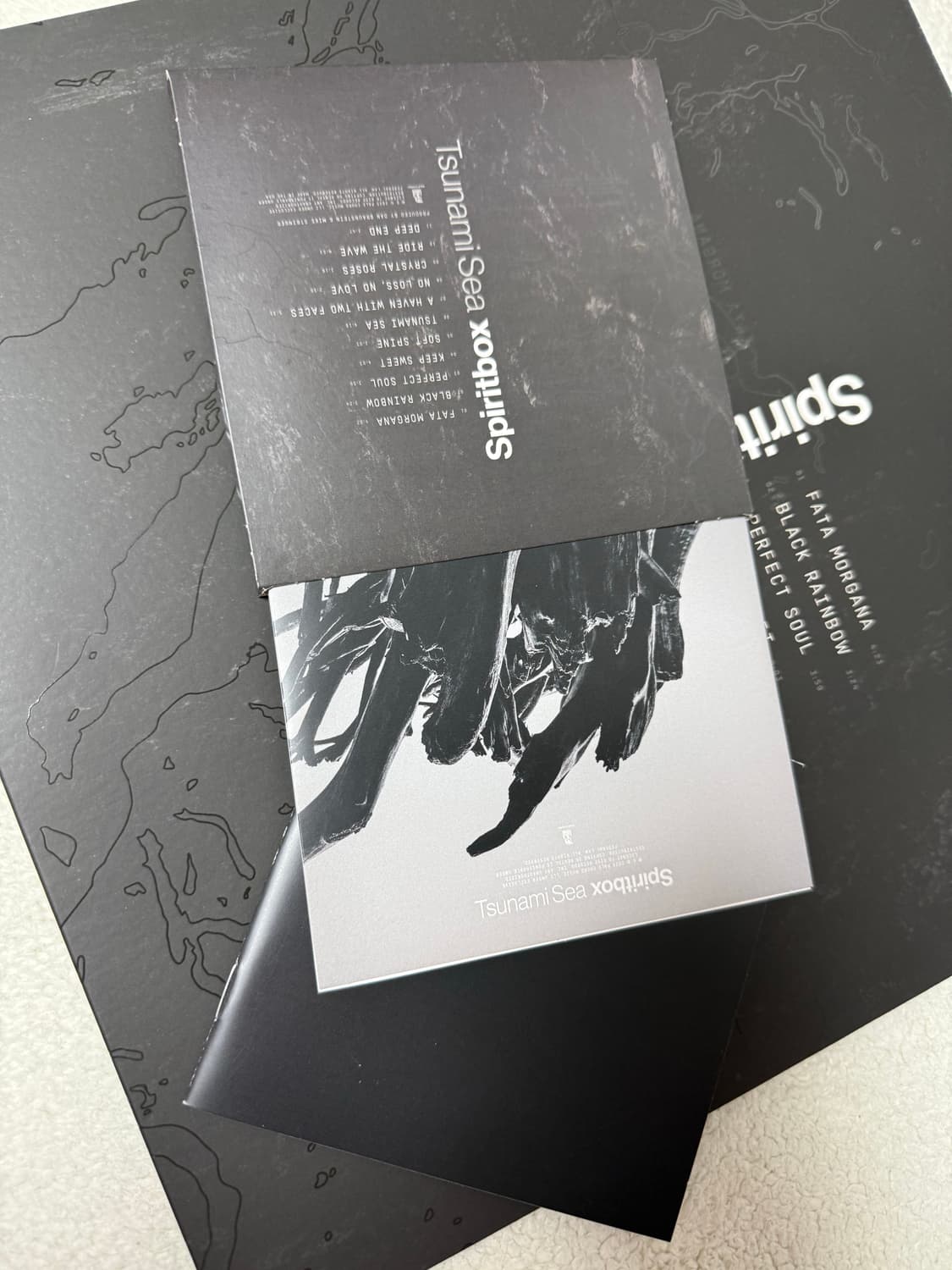 Spiritbox Tsunami Sea LP 바이닐, 음반 CD 상품이미지4