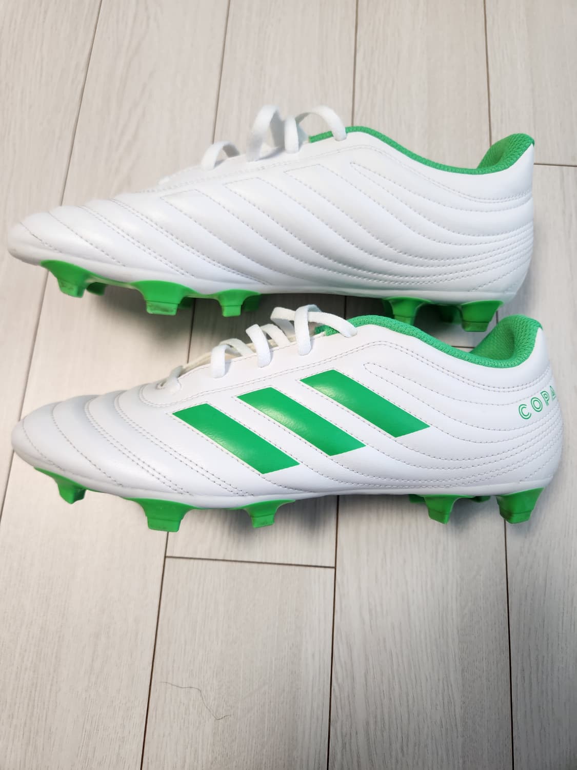 아디다스 축구화 코파 19.4 FG D98069 사이즈260

축구화/남 상품이미지5