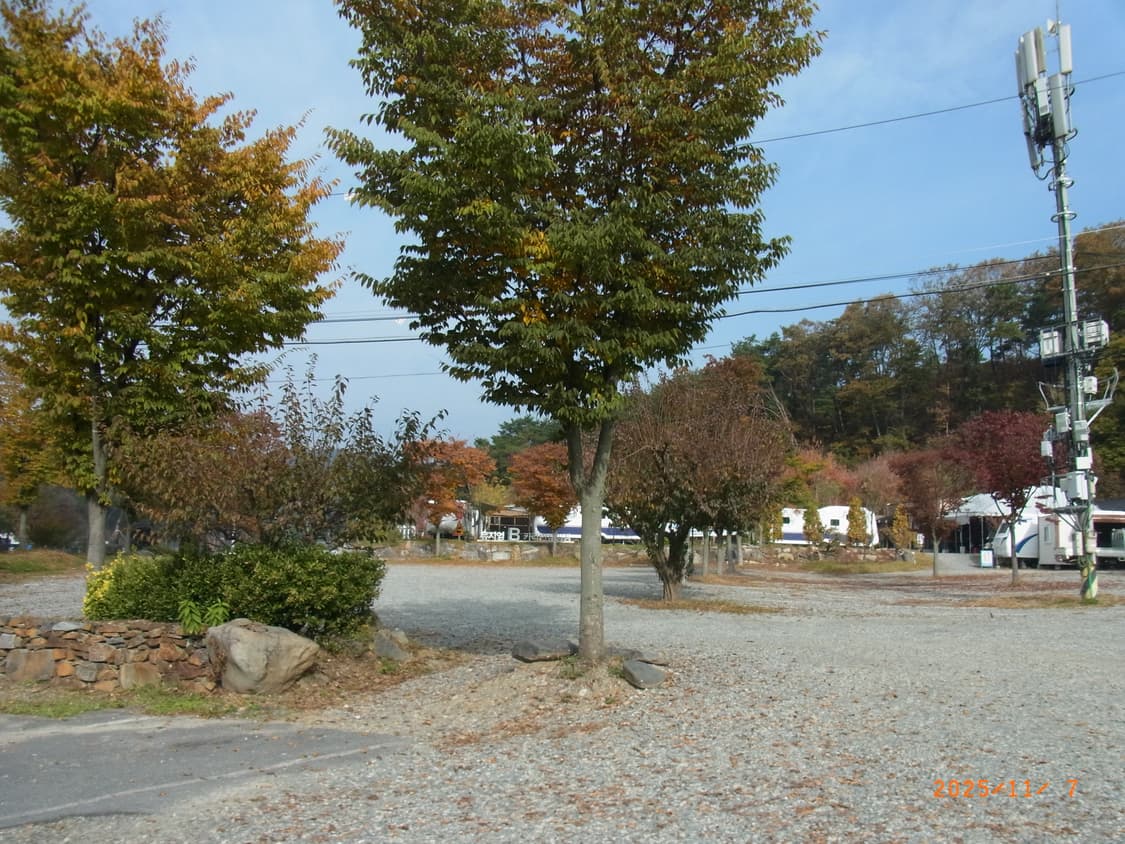 리코ricoh cx5 빈티지카메라 작례O 상품이미지6