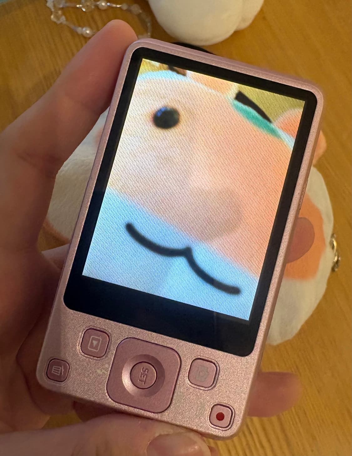 [뽀용 인물용 디카] 카시오 엑슬림 z800 작례포함 상품이미지2