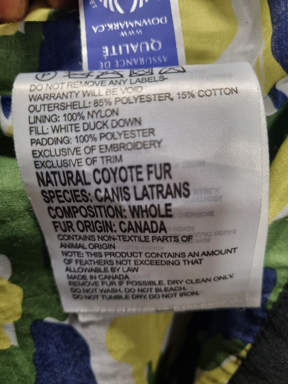 캐나다구스 주니어 바람막이  상품이미지5