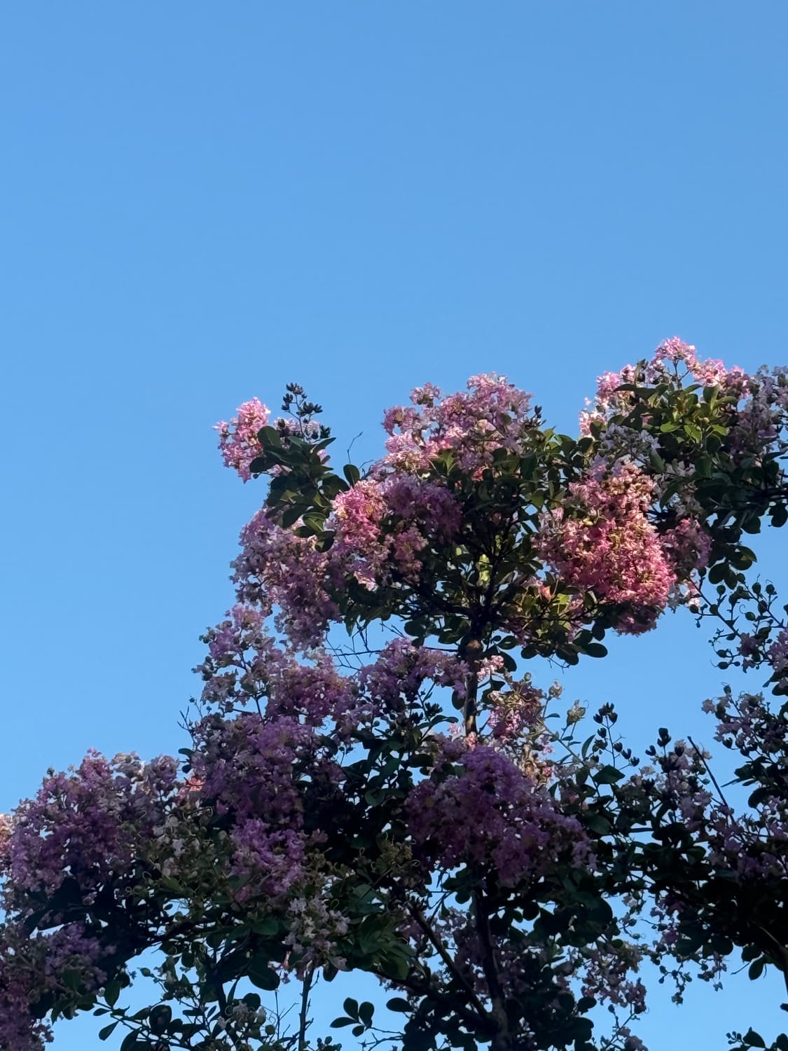 구매자님 개인 결제창 상품이미지1