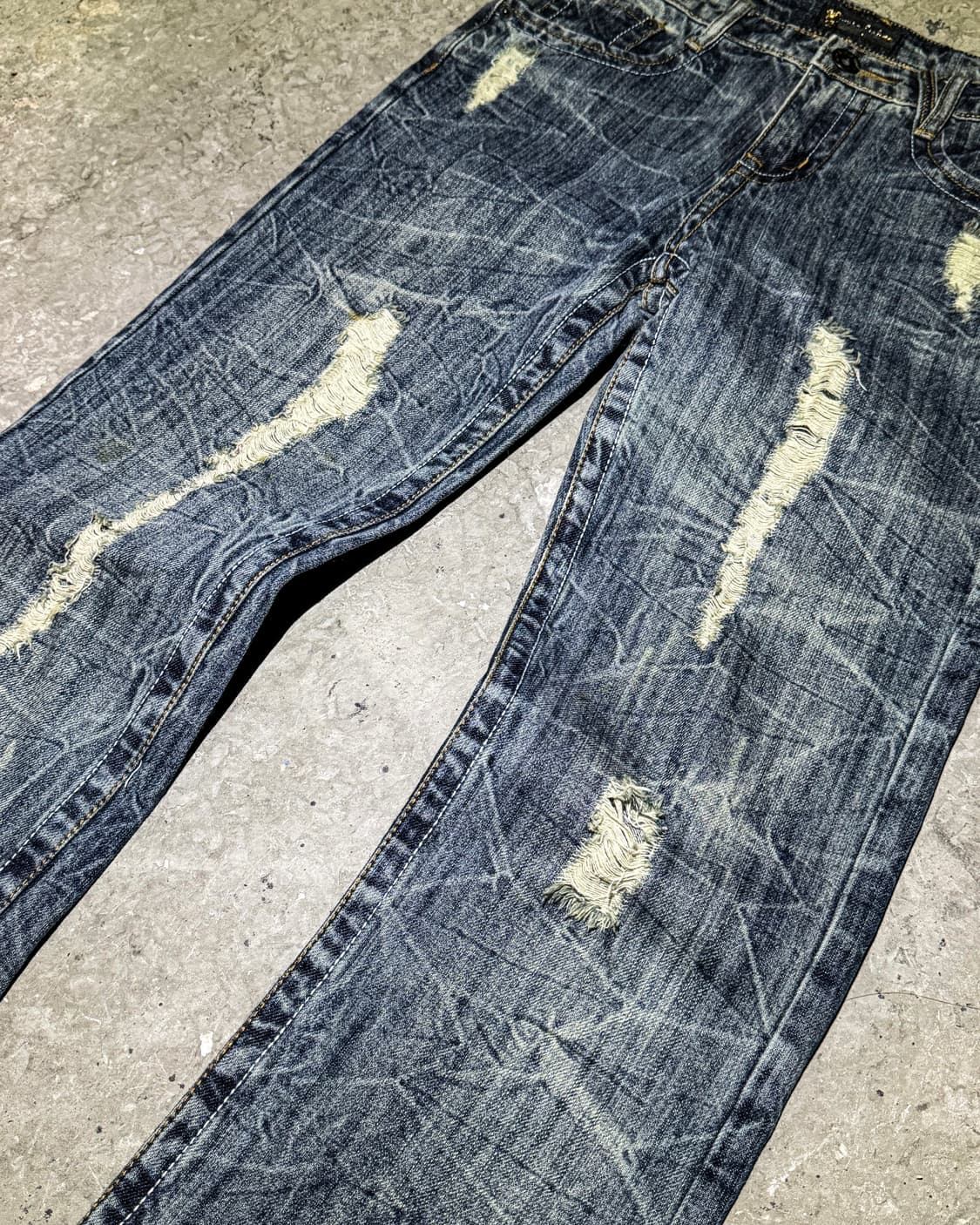 Wing Graphic Distressed Denim 상품이미지3
