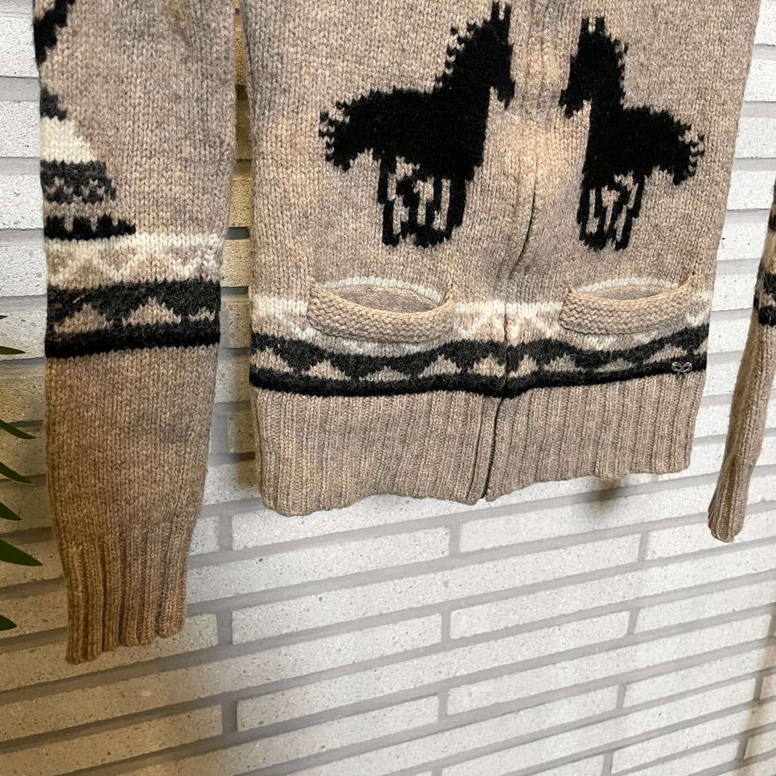 Aritzia TNA 코위찬 니트 집업 포니 그래픽 패턴 디테일 베이지 상품이미지5